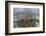 A Staghorn Coral Colony Grows in Shallow Water in the Solomon Islands-Stocktrek Images-Framed Photographic Print