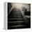 A Stairs in a Temple of Bankok-Luis Beltran-Framed Premier Image Canvas