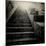 A Stairs in a Temple of Bankok-Luis Beltran-Mounted Photographic Print