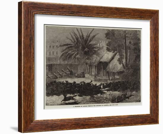 A Stampede of Jackals Through the Environs of Calcutta-null-Framed Giclee Print