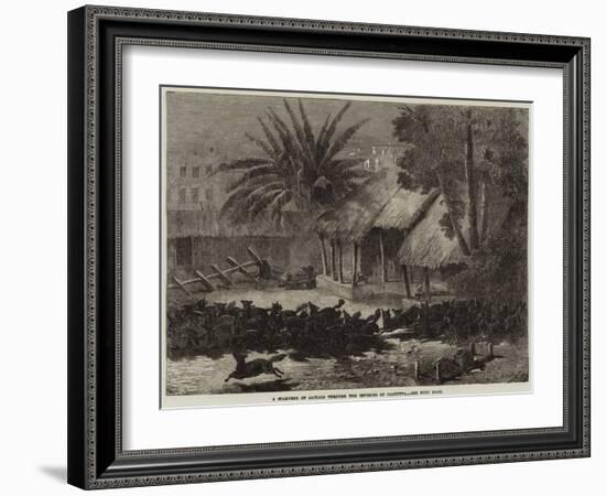 A Stampede of Jackals Through the Environs of Calcutta-null-Framed Giclee Print