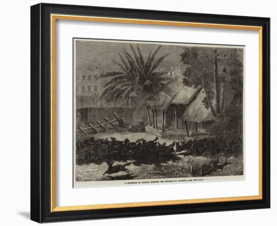 A Stampede of Jackals Through the Environs of Calcutta-null-Framed Giclee Print