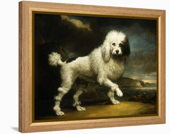 A Standard Poodle in a Coastal Landscape-James Northcote-Framed Premier Image Canvas