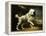 A Standard Poodle in a Coastal Landscape-James Northcote-Framed Premier Image Canvas
