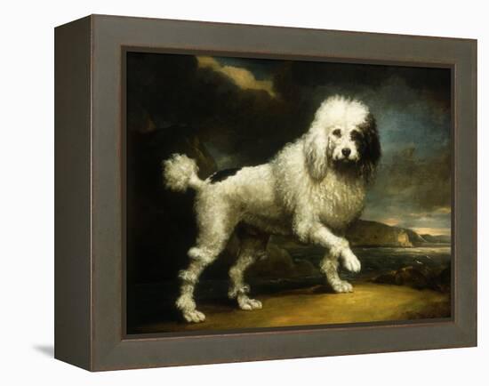 A Standard Poodle in a Coastal Landscape-James Northcote-Framed Premier Image Canvas