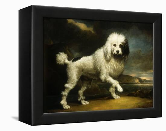 A Standard Poodle in a Coastal Landscape-James Northcote-Framed Premier Image Canvas