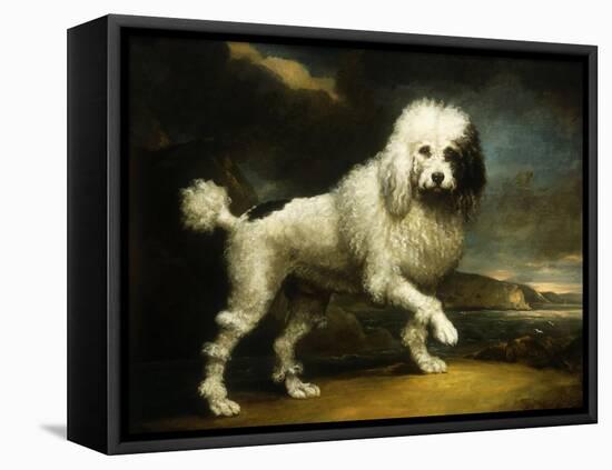 A Standard Poodle in a Coastal Landscape-James Northcote-Framed Premier Image Canvas