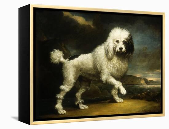 A Standard Poodle in a Coastal Landscape-James Northcote-Framed Premier Image Canvas