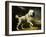 A Standard Poodle in a Coastal Landscape-James Northcote-Framed Giclee Print