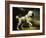 A Standard Poodle in a Coastal Landscape-James Northcote-Framed Giclee Print