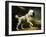 A Standard Poodle in a Coastal Landscape-James Northcote-Framed Giclee Print