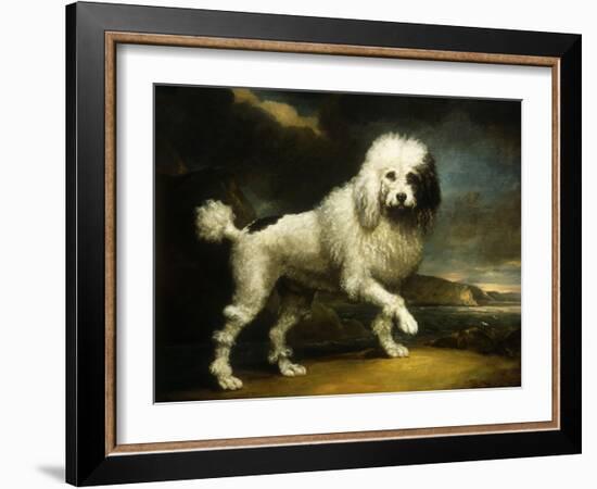 A Standard Poodle in a Coastal Landscape-James Northcote-Framed Giclee Print