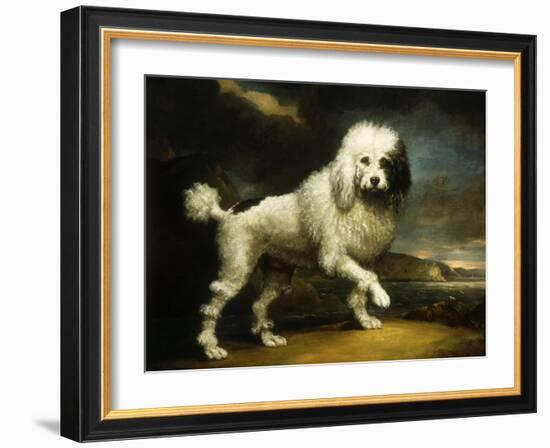 A Standard Poodle in a Coastal Landscape-James Northcote-Framed Giclee Print