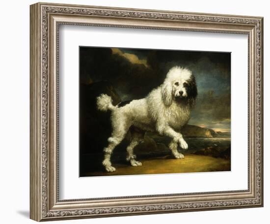 A Standard Poodle in a Coastal Landscape-James Northcote-Framed Giclee Print