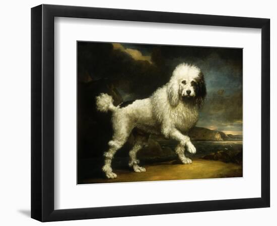 A Standard Poodle in a Coastal Landscape-James Northcote-Framed Giclee Print