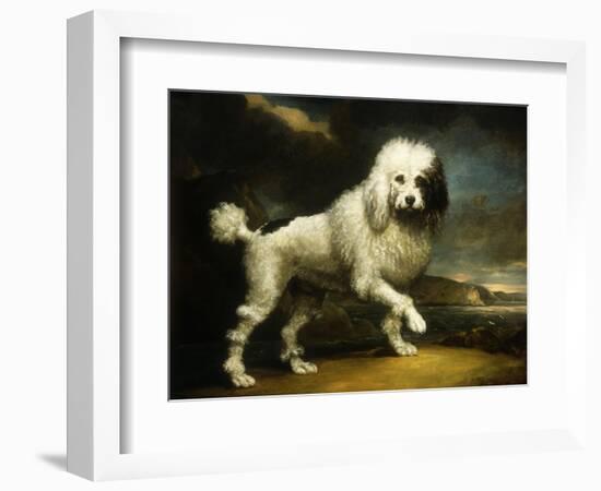 A Standard Poodle in a Coastal Landscape-James Northcote-Framed Giclee Print