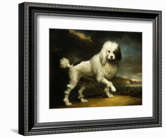 A Standard Poodle in a Coastal Landscape-James Northcote-Framed Giclee Print