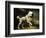 A Standard Poodle in a Coastal Landscape-James Northcote-Framed Giclee Print