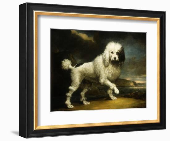 A Standard Poodle in a Coastal Landscape-James Northcote-Framed Giclee Print