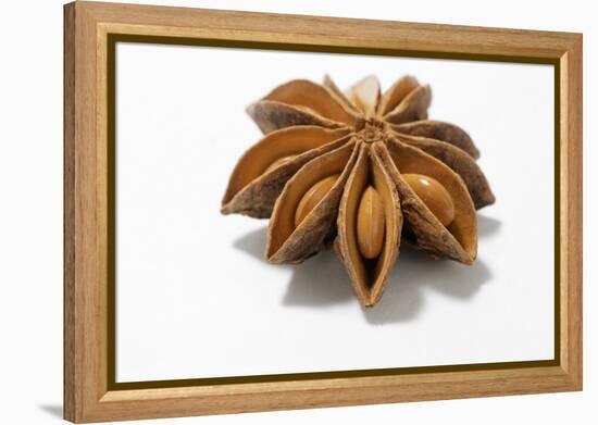 A Star Anise on White Background-Kröger and Gross-Framed Premier Image Canvas