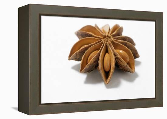 A Star Anise on White Background-Kröger and Gross-Framed Premier Image Canvas