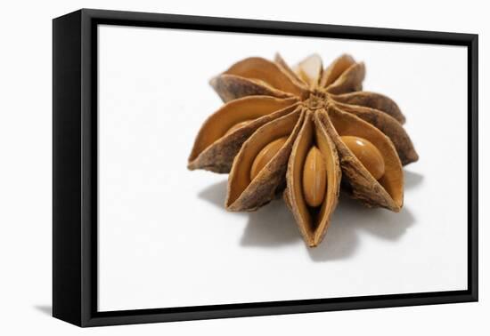 A Star Anise on White Background-Kröger and Gross-Framed Premier Image Canvas