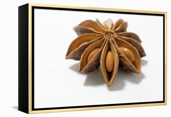 A Star Anise on White Background-Kröger and Gross-Framed Premier Image Canvas