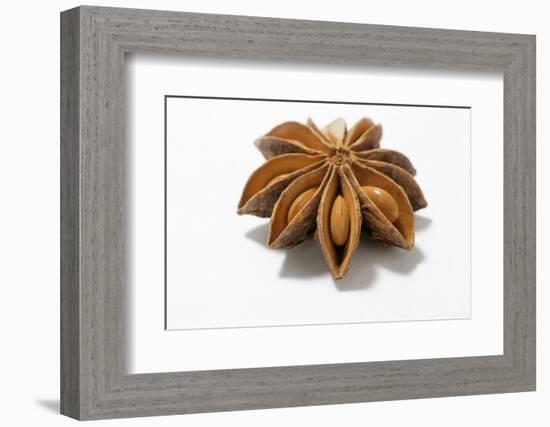 A Star Anise on White Background-Kröger and Gross-Framed Photographic Print
