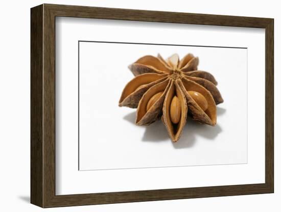 A Star Anise on White Background-Kröger and Gross-Framed Photographic Print