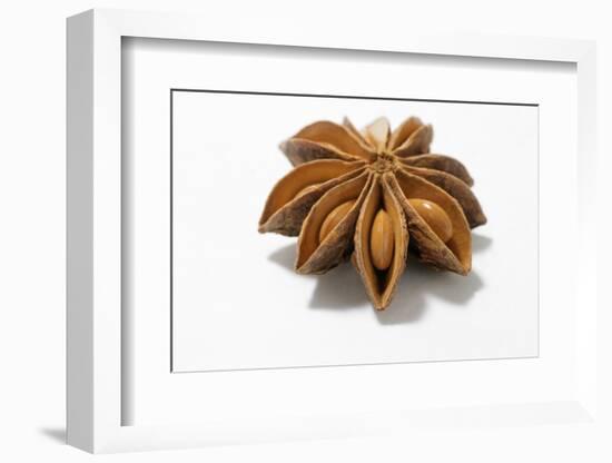 A Star Anise on White Background-Kröger and Gross-Framed Photographic Print