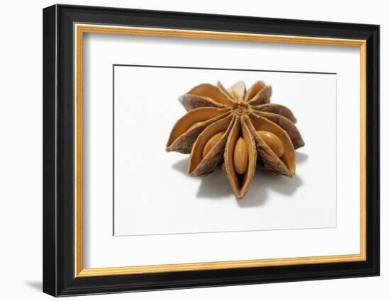 A Star Anise on White Background-Kröger and Gross-Framed Photographic Print