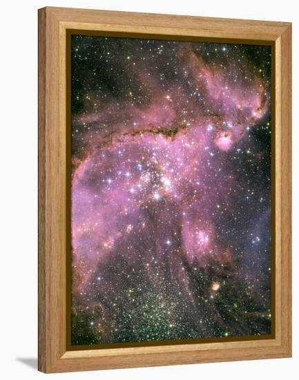 A Star-forming Region in the Small Magellanic Cloud-Stocktrek Images-Framed Premier Image Canvas