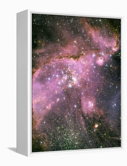 A Star-forming Region in the Small Magellanic Cloud-Stocktrek Images-Framed Premier Image Canvas