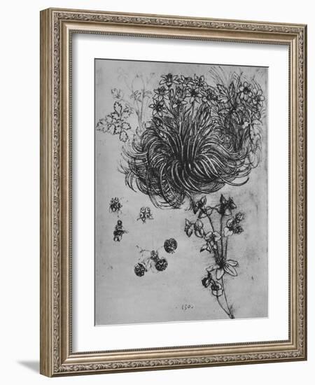 'A Star of Bethlehem and Other Plants', c1480 (1945)-Leonardo Da Vinci-Framed Giclee Print