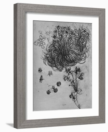 'A Star of Bethlehem and Other Plants', c1480 (1945)-Leonardo Da Vinci-Framed Giclee Print