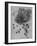 'A Star of Bethlehem and Other Plants', c1480 (1945)-Leonardo Da Vinci-Framed Giclee Print