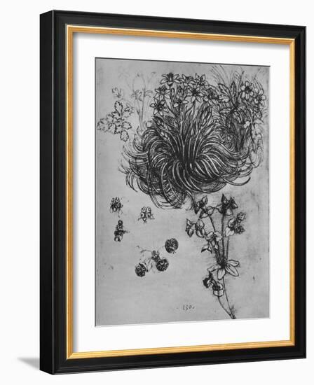 'A Star of Bethlehem and Other Plants', c1480 (1945)-Leonardo Da Vinci-Framed Giclee Print