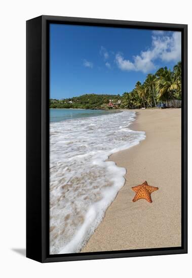 A Starfish Transported by Waves Lying Motionless on Carlisle Bay-Roberto Moiola-Framed Premier Image Canvas