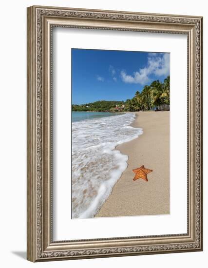 A Starfish Transported by Waves Lying Motionless on Carlisle Bay-Roberto Moiola-Framed Photographic Print