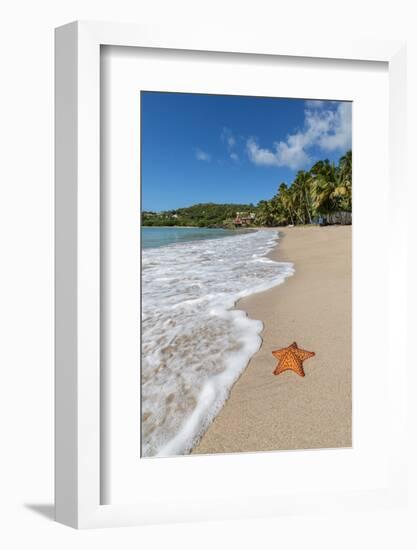 A Starfish Transported by Waves Lying Motionless on Carlisle Bay-Roberto Moiola-Framed Photographic Print