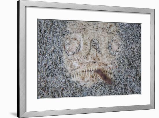 A Stargazer Fish Camouflages Itself in the Sand-Stocktrek Images-Framed Photographic Print