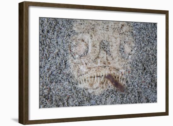 A Stargazer Fish Camouflages Itself in the Sand-Stocktrek Images-Framed Photographic Print