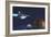 A Starship from Earth Travels to a Red Planet-null-Framed Premium Giclee Print