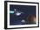 A Starship from Earth Travels to a Red Planet-null-Framed Premium Giclee Print