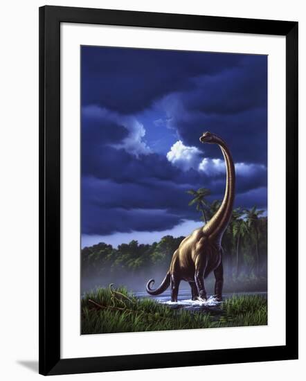 Art Print, , large