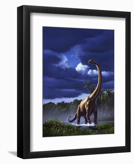 Art Print, , large