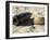 A Static Display of a Converted Ordnance Shell and a Simple Mine-Stocktrek Images-Framed Photographic Print