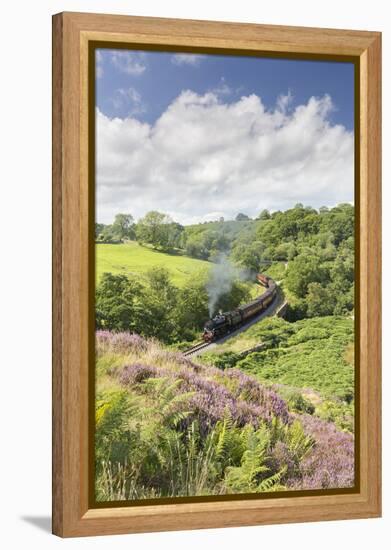 A Steam Locomotive Pulling Carriages Through Darnholme on North Yorkshire Steam Heritage Railway-John Potter-Framed Premier Image Canvas