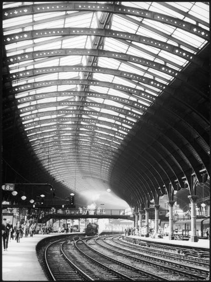 Photographic Print, , large