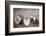 A Steampunk Style Retro Choke Knob - Shallow Depth Of Field-leaf-Framed Photographic Print